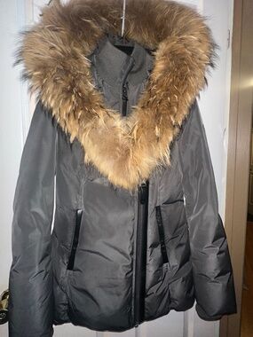 MACKAGE- ADALI- F (carbon)